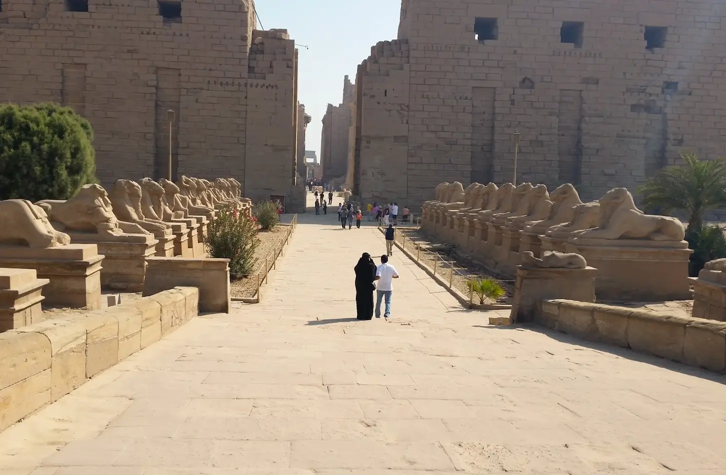 A very beautiful picture from in front of Karnak Temple
