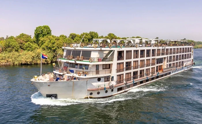 Nile dolphin swimming in the waters of Egypt.