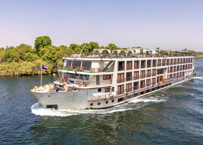 Nile dolphin swimming in the waters of Egypt.